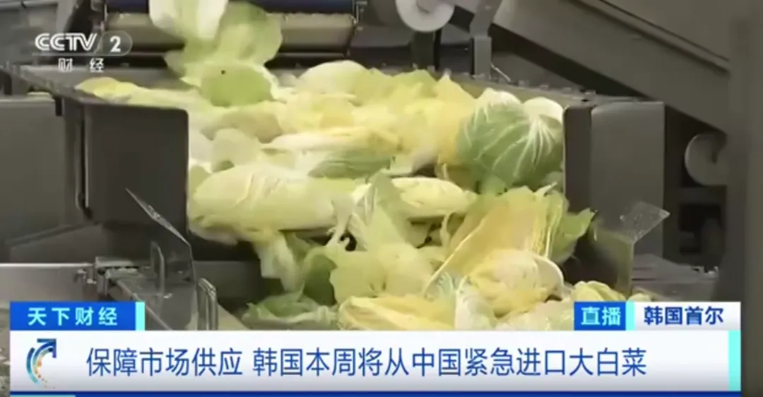 全球數(shù)字貿易
